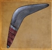 Joli boomerang.jpg