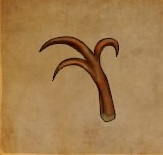 Branche souple.jpg