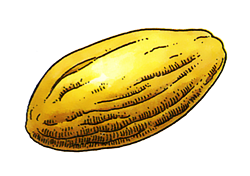 Fichier:Artwork DQIV Famicom Graine de Force.png
