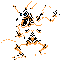 DQIII NES scalgon.png