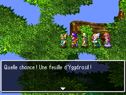 DQIV Screenshot Yggdrasil Feuille d'Yggdrasil.png