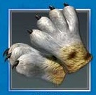 Griffes de smilodon.jpg