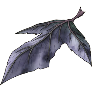 Feuille de Macarbre.png