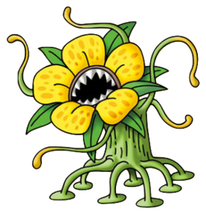 Morgnolia.png