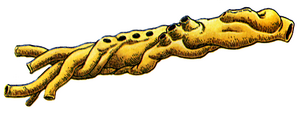 Artwork DQIV Famicom Flûte de révélation.png