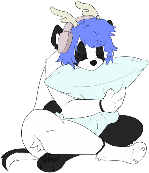 Fichier:Illustration Profil Soru.png