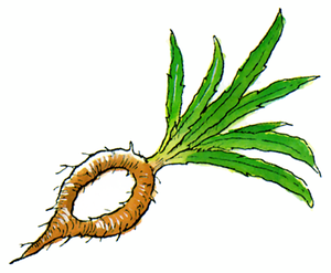 Herbe invisible.png