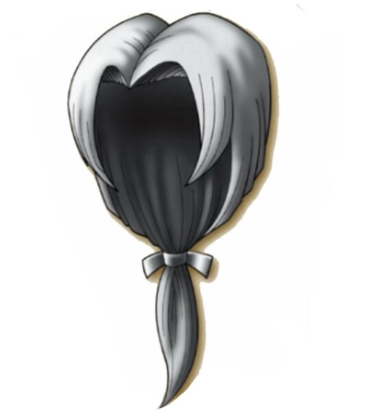 Fichier:Chevelure de Templier.jpeg