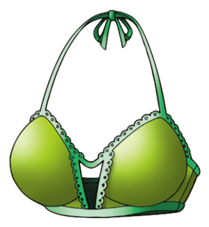Haut de bikini brûlant.png